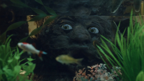 Ferran Palau / Plora aqui