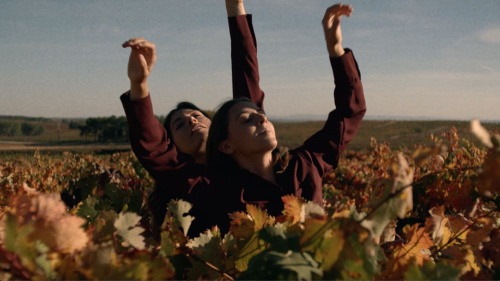 Ribera del Duero / Creado Para Emocionarte