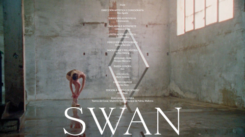 Teatros Canal / Swan